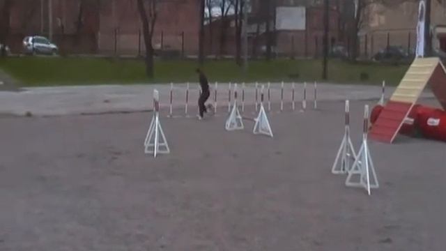 Захарова и Ляля ЧСПб аджилити 1 день смотреть онлайн