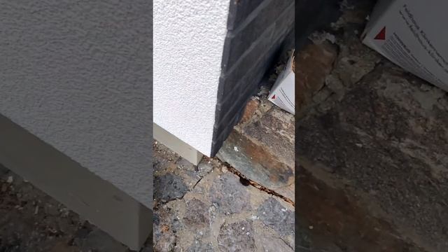 Декоративная штукатурка барашэк.