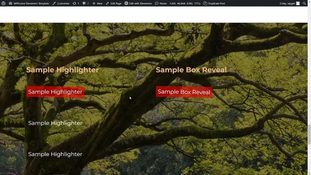 Elementor Viewport Animations added Highlighter and Box Reveal смотреть онлайн