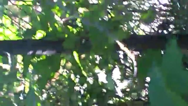 Прикалываемся над придурком с дачи (часть 2) смотреть онлайн