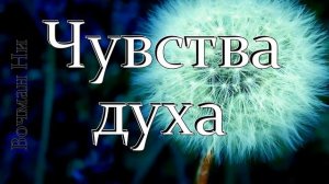 "Чувства духа" Вочман Ни