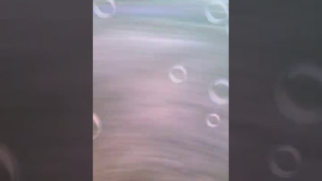 Ничего непонятно!? Я знаю ничего не...☺ смотреть онлайн