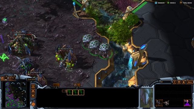 Every Zerg Unit Explained - Starcraft 2 Lower League Lessons смотреть онлайн