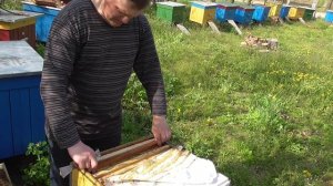 Постановка магазинов на ульи (май 2015 г.)