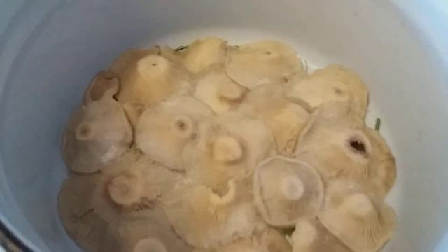 Мастерство и Индивидуальность