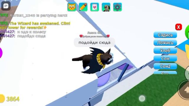 БАГ-ЗАПРЫГНИ НА ОКНО в игра с котятами🐾!(советую брать детёныша мейн куна) смотреть онлайн