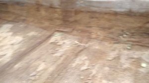 Теплица на бетонном фундаменте и теплая грядка.mp4