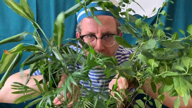 «Чудище и капитан». Театрализованные чтения с Борисом Войцеховским смотреть онлайн