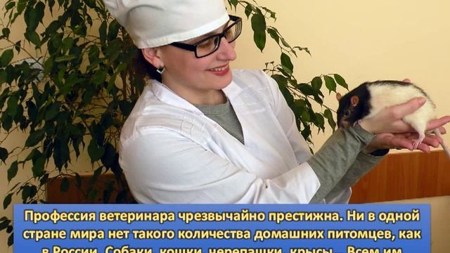 Моя профессия - ветеринария.