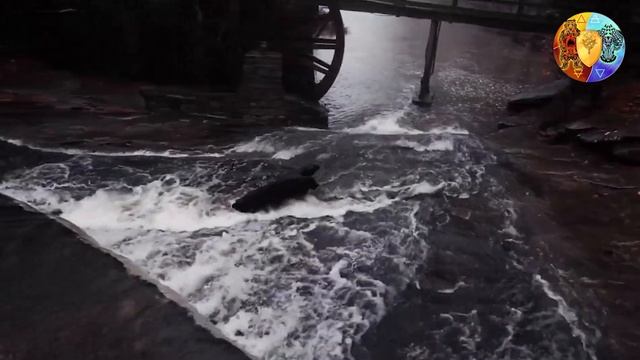 Приворот и его последствия. Как не стать объектом приворота смотреть онлайн