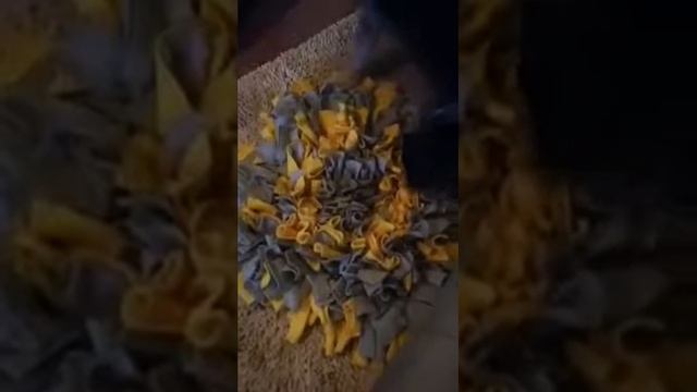 Dog Challenge Game 4, Enrichment, challenge 5 how to use a snuffle mat смотреть онлайн