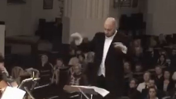 Beethoven Symphony 5 mov 1 Бетховен Симфония 5 часть 1