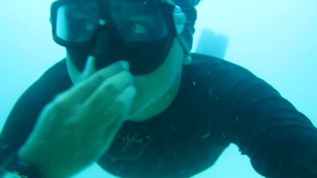 Freediving with Canon IXUS 130 + Dicapac WP One смотреть онлайн