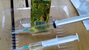 Растения-хищники на подоконнике.Клещ на Венериной Мухоловке.