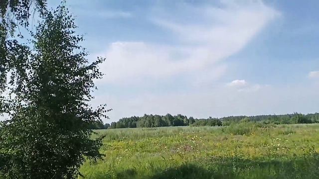 Вкусный завтрак 😋, потом в лес за ягодой 🍓,трава пахнет мятой смотреть онлайн