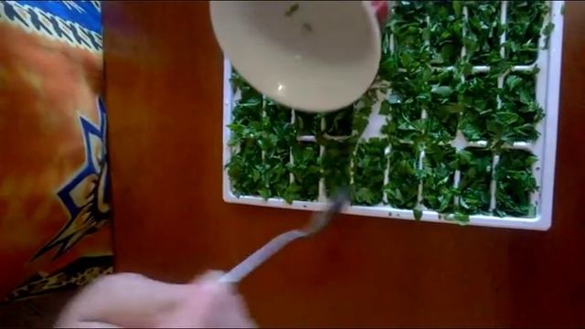Как заморозить зелень (петрушку, укроп, зеленый лук) на зиму. How to freeze fresh herbs. смотреть онлайн