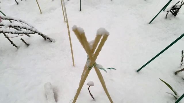 Укрывать нельзя оставить!Ставьте запятую самИ!Розы в снегу! смотреть онлайн