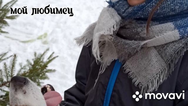 те самые фото,девочка с собакой,их любовь бесценна и бесконечна.💕🐕 смотреть онлайн