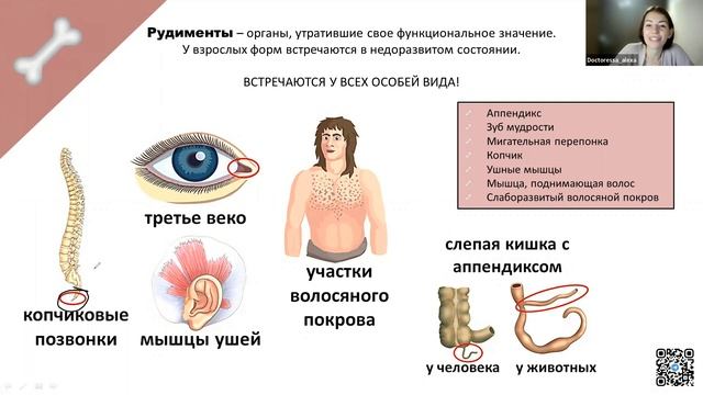 Атавизмы и рудименты | БИОЛОГИЯ ОГЭ 2023