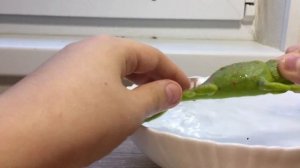 Обзор игрушки волшебные ящерицы. Меняют цвет в воде или нет?