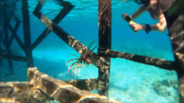 Snorkeling in Seraya island beach, Komodo, Indonesia смотреть онлайн