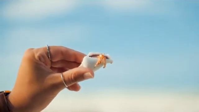 Сочетание Солнечного Стрельца с Восходящими знаками (Асцендентом) смотреть онлайн