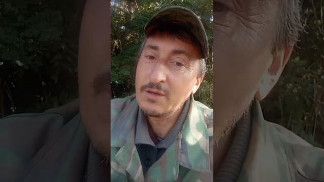 песня спасибо любимая за поздравление смотреть онлайн