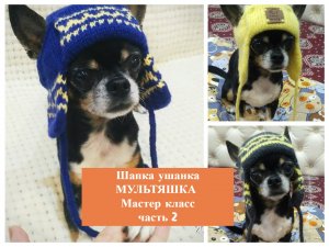 Шапка ушанка для собачки "Мультяшка"  Мастер класс,часть 2