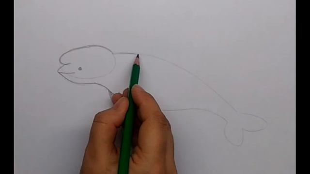 Как нарисовать белуху смотреть онлайн
