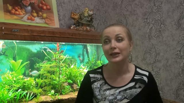 Гнев - это грязь или золото? #гнев #усмиритьгнев #исполнениежеланий #работасгневом смотреть онлайн