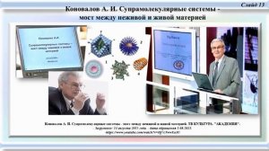 Андрущакевич А.А. Об актуальности изменения объекта и предмета психофизиологии