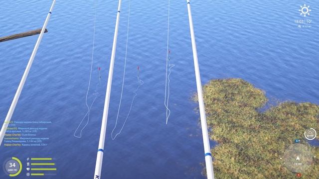 Выйти из штрафного пруда 500 кг любой ценой (День 1) смотреть онлайн