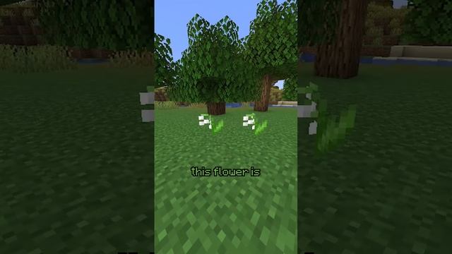 Speed Running White Dye in Minecraft #shorts смотреть онлайн