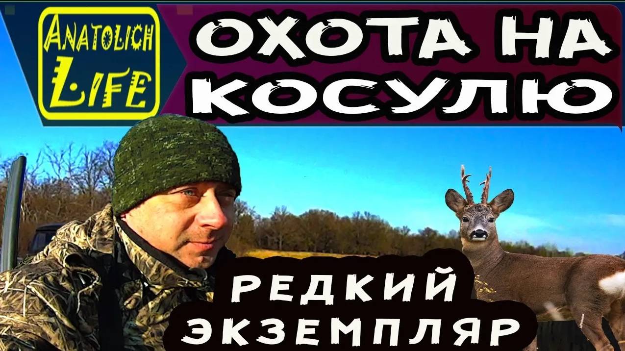 Загонная охота на косулю и кабана. Коллективная охота на копытного зверя! смотреть онлайн