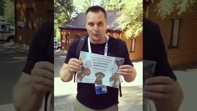 Актёр Александр Носик призвал прийти на раздачу бездомных животных в Кисловодске смотреть онлайн