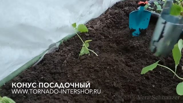 Конус посадочный