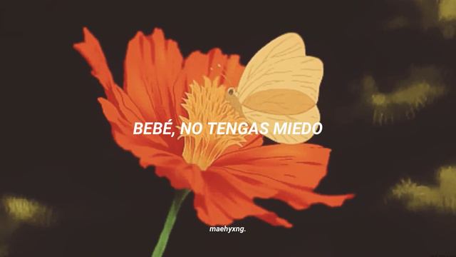 Zabawa - 'Butterfly’s Repose' // Traducción al Español смотреть онлайн