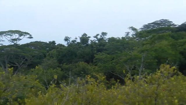 60 7 SEYSHELLES LA DIGUE VIEW BELLE VUE MTS 333 M SERGEJ FEDULOW 2015 DSCN1436 смотреть онлайн
