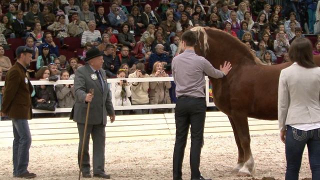 Иппосфера 2016 смотреть онлайн