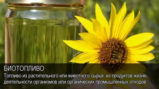 Биотопливо. Толковый Видеословарь русского языка смотреть онлайн