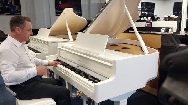 Roland GP-9M Digital Baby Grand Piano - Self playing with moving keys! Demonstration & Review смотреть онлайн