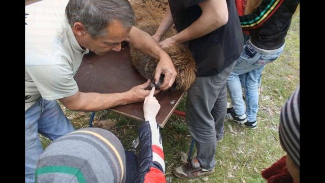 Большая стрижка. КонструкторЪ. Туризм для инвалидов. Дети. Дети-инвалиды. смотреть онлайн