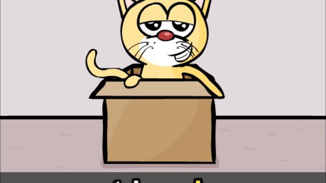 Cat in a box смотреть онлайн