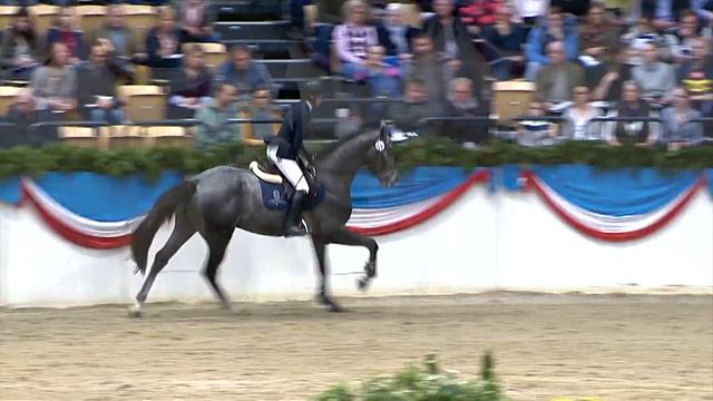 Die Verbandshengste 2020 - Cahil v. Cornet Obolensky-Contender смотреть онлайн