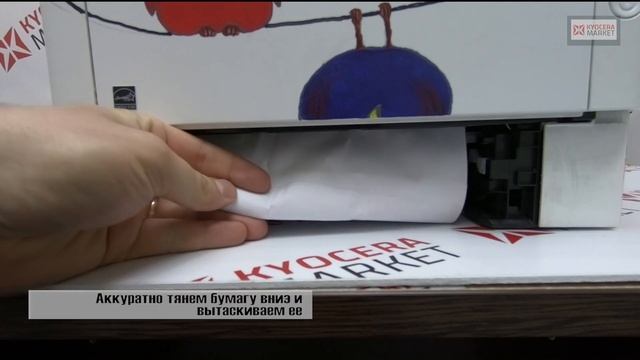 Замятие в дуплексе Kyocera Ecosys М2040dn смотреть онлайн