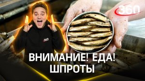 «Внимание! Еда!»: шпроты, сегодня в центре нашего обзора