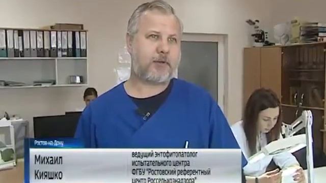 ДОН-ТР О новой угрозе сельскому хозяйству региона! Коричнево-мраморный клоп смотреть онлайн