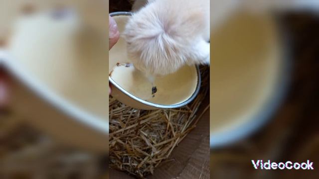 1000073075.mp4Ррибыль🤣👍😉