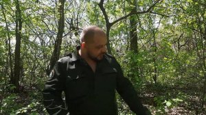 Клещи сидят на деревьях и прыгают вам на голову - нет