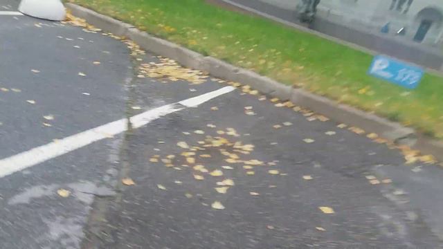 Дети ищут веселые грибочки смотреть онлайн